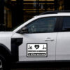 Sticker siluetă Set Servicii Curățenie Design cu iconițe grafice (2 bucăți)
